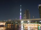 川の奥で綺麗にライトアップされた東京スカイツリー