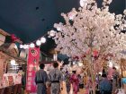 大江戸温泉物語のなかにある桜